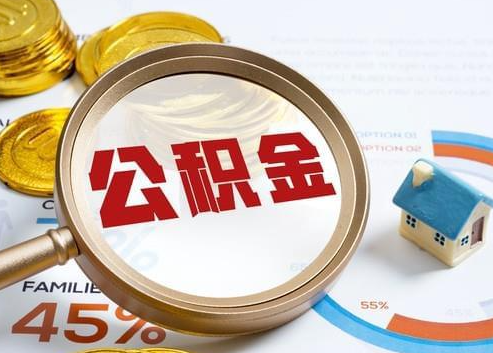 石家庄2025年政策调整对个人影响综合解析‌